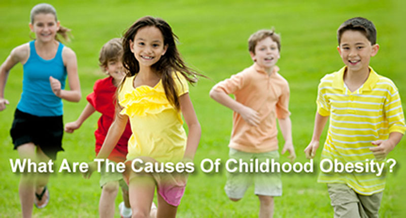 Children's Health and Fitness consults Sadie on childhood obesity